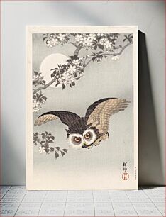 Πίνακας, Scops Owl, Cherry Blossoms, and Moon, woodblock print, ink and color on paper
