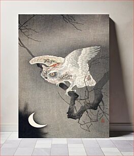 Πίνακας, Scops Owl in Moonlight by Ohara Koson (1877–1945)