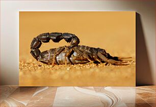 Πίνακας, Scorpion in the Desert Σκορπιός στην Έρημο