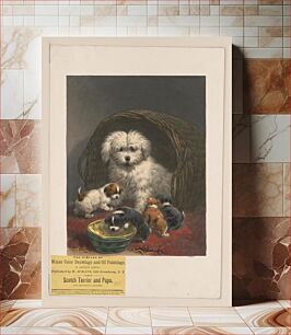 Πίνακας, Scotch terrier and pups / after Henrietta Ronner
