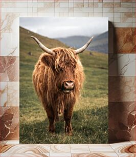 Πίνακας, Scottish Highland Cow Σκωτσέζικη αγελάδα Highland