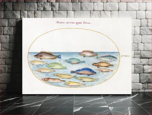 Πίνακας, Sea Bream and Other Fish (1575–1580) by Joris Hoefnagel