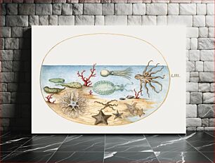 Πίνακας, Sea Cucumbers, Coral, Octopus, Starfish, Squid and Other Sea Creatures (1575–1580) by Joris Hoefnagel