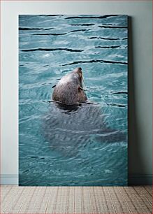 Πίνακας, Sea Lion Swimming Sea Lion Swimming