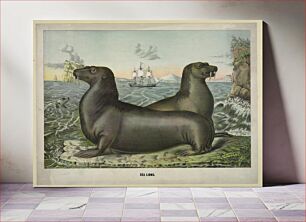 Πίνακας, Sea lions