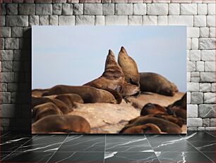 Πίνακας, Sea Lions Resting on Rocks Θαλάσσια λιοντάρια που στηρίζονται σε βράχους