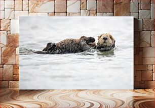 Πίνακας, Sea Otter Floating Sea Otter Floating