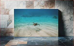 Πίνακας, Sea Turtle Exploring the Ocean Θαλάσσια χελώνα που εξερευνά τον ωκεανό
