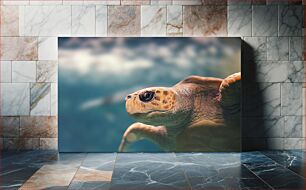 Πίνακας, Sea Turtle in the Ocean Θαλάσσια χελώνα στον ωκεανό