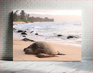 Πίνακας, Sea Turtle on the Beach Θαλάσσια χελώνα στην παραλία