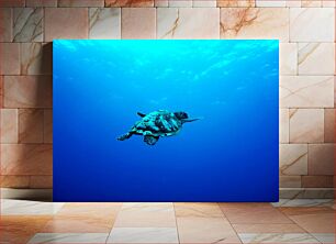 Πίνακας, Sea Turtle Swimming Κολύμπι με θαλάσσια χελώνα