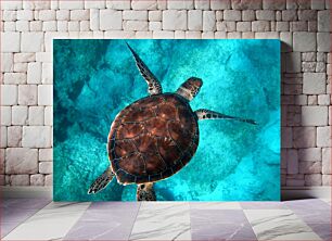 Πίνακας, Sea Turtle Swimming Underwater Θαλάσσια χελώνα που κολυμπάει υποβρύχια