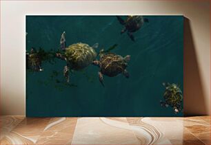 Πίνακας, Sea Turtles in the Ocean Θαλάσσιες χελώνες στον ωκεανό