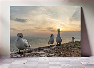 Πίνακας, Seabirds at Sunset Θαλασσοπούλια στο ηλιοβασίλεμα