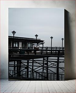 Πίνακας, Seagull at the Pier Γλάρος στην προβλήτα