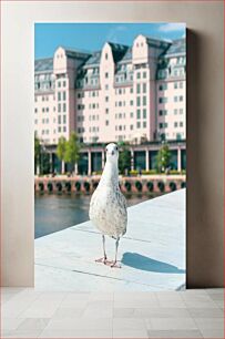 Πίνακας, Seagull at the Waterfront Γλάρος στην προκυμαία