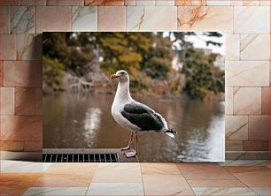 Πίνακας, Seagull by the Lake Γλάρος δίπλα στη λίμνη