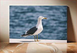 Πίνακας, Seagull by the Sea Γλάρος δίπλα στη θάλασσα