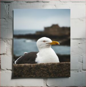 Πίνακας, Seagull by the Sea Seagull by the Sea