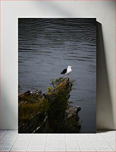 Πίνακας, Seagull by the Water Γλάρος δίπλα στο νερό