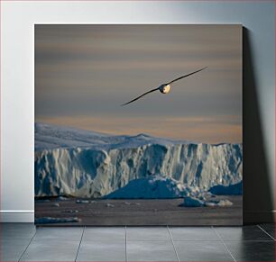 Πίνακας, Seagull Flying Over Icebergs at Sunset Γλάρος που πετά πάνω από παγόβουνα στο ηλιοβασίλεμα