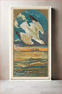 Πίνακας, Seagull, from the Birds of America series (N4) for Allen & Ginter Cigarettes Brands