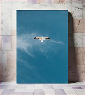 Πίνακας, Seagull in Flight Γλάρος σε πτήση