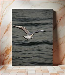 Πίνακας, Seagull in Flight Seagull in Flight