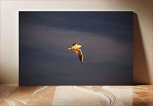 Πίνακας, Seagull in Flight Seagull in Flight