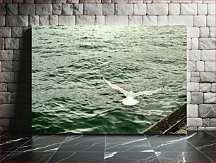 Πίνακας, Seagull in Flight Over Water Γλάρος σε πτήση πάνω από το νερό