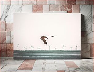 Πίνακας, Seagull in Flight with Wind Turbines Γλάρος σε πτήση με ανεμογεννήτριες