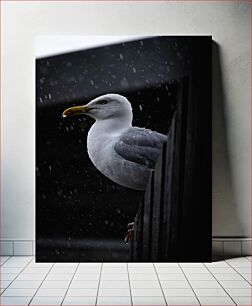 Πίνακας, Seagull in the Rain Γλάρος στη βροχή