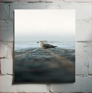 Πίνακας, Seagull on a Pier Γλάρος σε μια προβλήτα