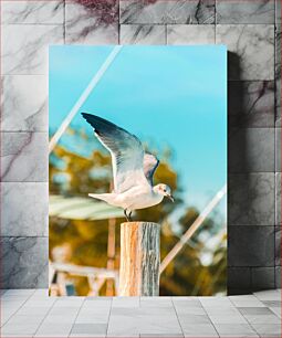 Πίνακας, Seagull on a Post Γλάρος σε μια ανάρτηση