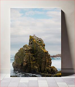 Πίνακας, Seagull on Rocky Ocean Cliff Γλάρος στο Rocky Ocean Cliff