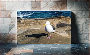Πίνακας, Seagull on Rocky Shore Γλάρος στη βραχώδη ακτή