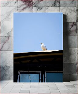 Πίνακας, Seagull on Rooftop Γλάρος στην ταράτσα