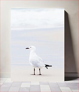 Πίνακας, Seagull on the Beach Γλάρος στην Παραλία