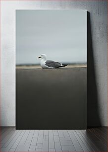 Πίνακας, Seagull on the Shore Γλάρος στην Ακτή