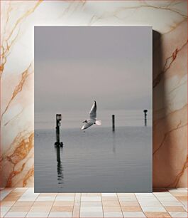 Πίνακας, Seagull Over Calm Waters Γλάρος πάνω από ήρεμα νερά