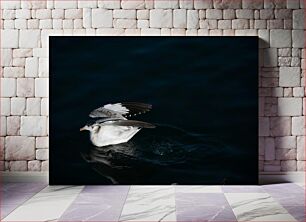 Πίνακας, Seagull over Water Γλάρος πάνω από το νερό