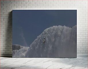 Πίνακας, Seagull over Waterfall Γλάρος πάνω από τον καταρράκτη