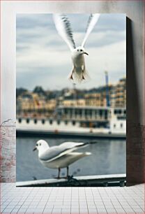 Πίνακας, Seagulls by the Waterfront Γλάροι δίπλα στην προκυμαία