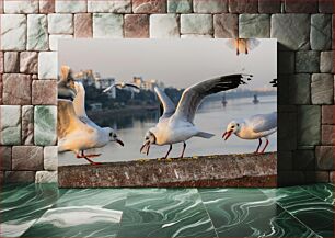 Πίνακας, Seagulls Feeding by the Water Γλάροι που τρέφονται δίπλα στο νερό