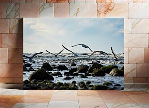 Πίνακας, Seagulls Flying Over Rocky Shoreline Γλάροι που πετούν πάνω από τη βραχώδη ακτή