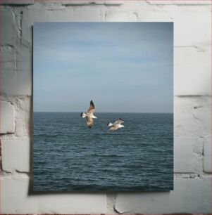 Πίνακας, Seagulls Flying Over the Ocean Γλάροι που πετούν πάνω από τον ωκεανό