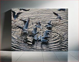 Πίνακας, Seagulls in Action Γλάροι σε Δράση