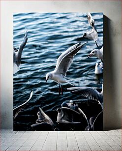 Πίνακας, Seagulls in Flight Above Water Γλάροι σε πτήση πάνω από το νερό