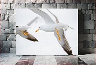 Πίνακας, Seagulls in Flight Γλάροι σε πτήση