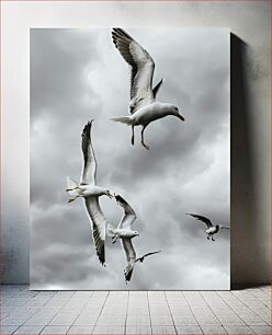 Πίνακας, Seagulls in Flight Γλάροι σε πτήση